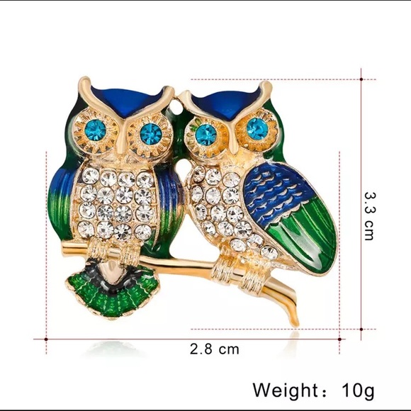 Only ships with $15 orders. Owl Lovers Brooch - Picture 5 of 5
